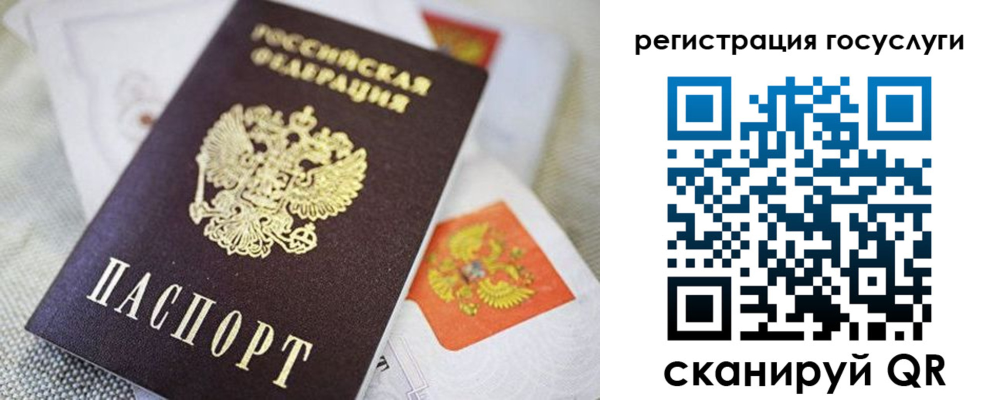 прописка паспорт в Новгородской области